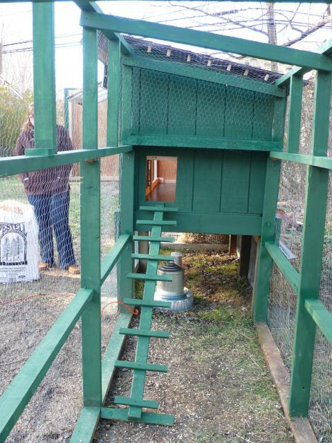 82810_p1030295.jpg