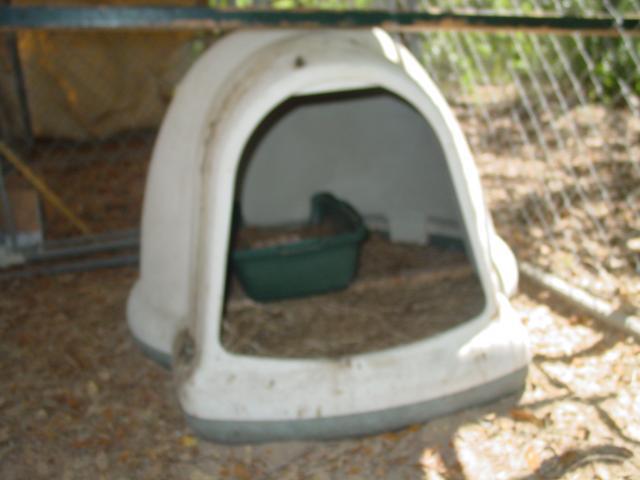 82888_dsc05951.jpg