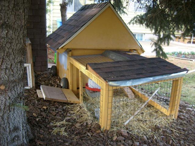 82993_chicken_coop_and_frostbite_004.jpg
