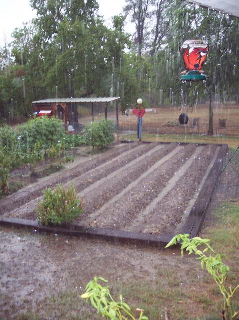 83153_000_0011.jpg