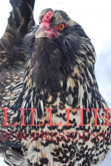 8324_lillithforleadhen.jpg