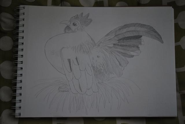 8324_pencil_rooster_sketch.jpg