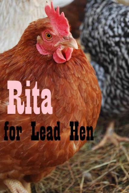 8324_ritaforleadhen.jpg