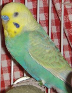 83497_020.jpg