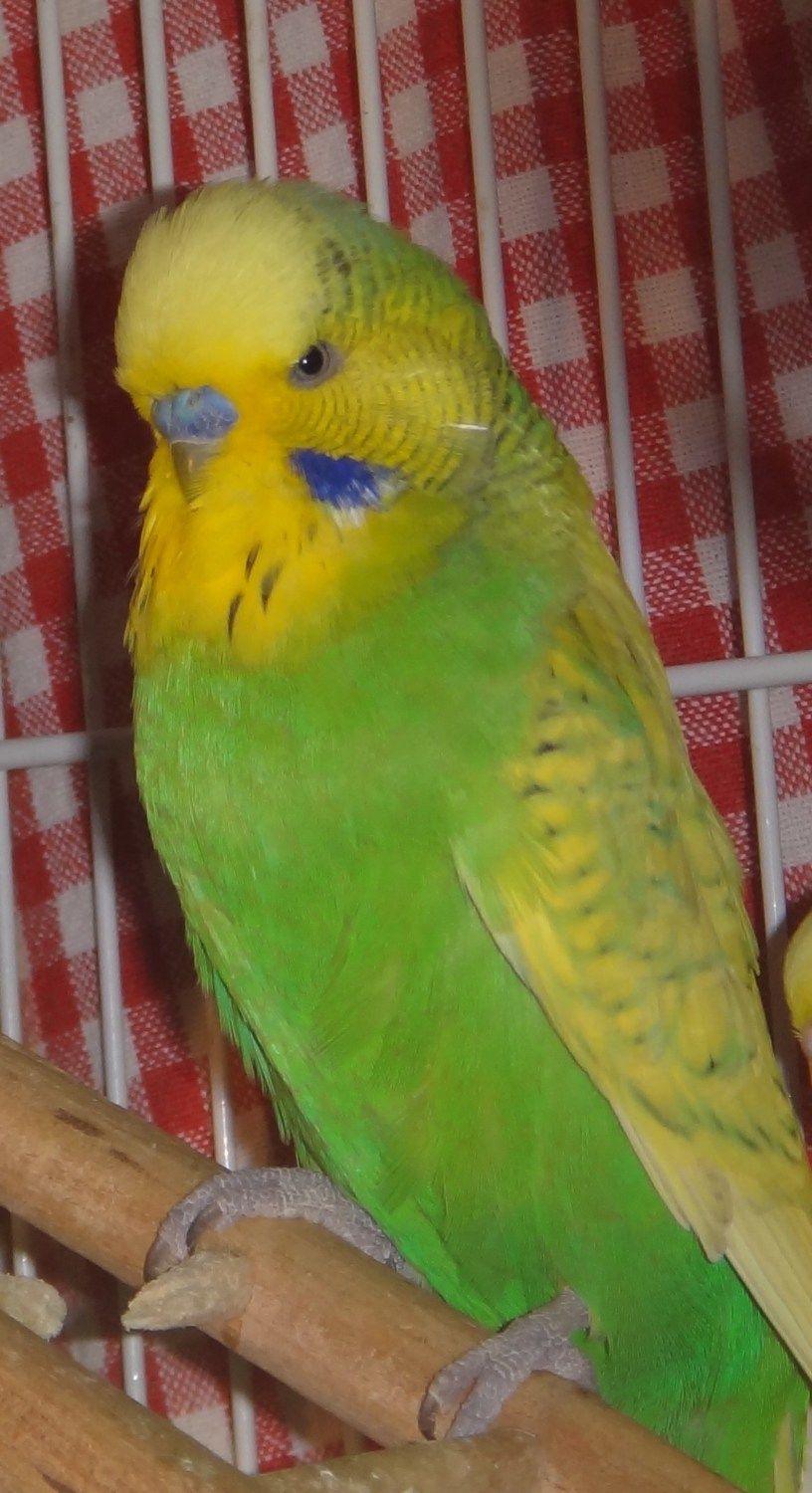 83497_dfjh.jpg