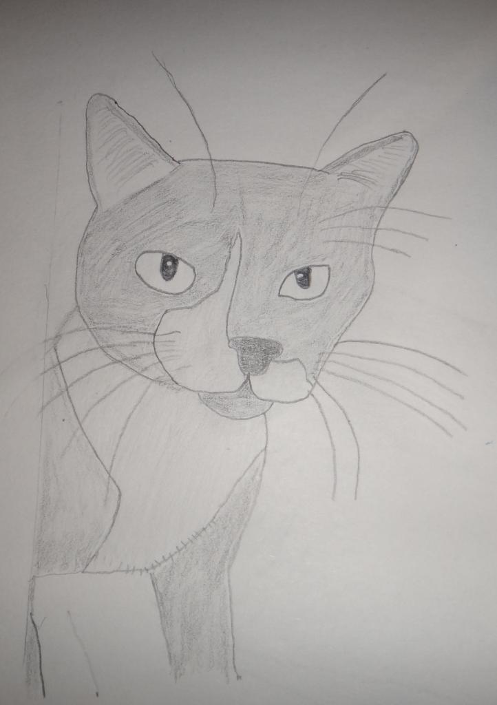 83497_draw.jpg