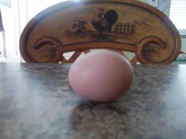 83648_egg_009.jpg