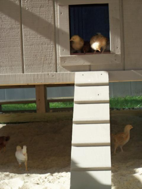 83665_100_0541.jpg