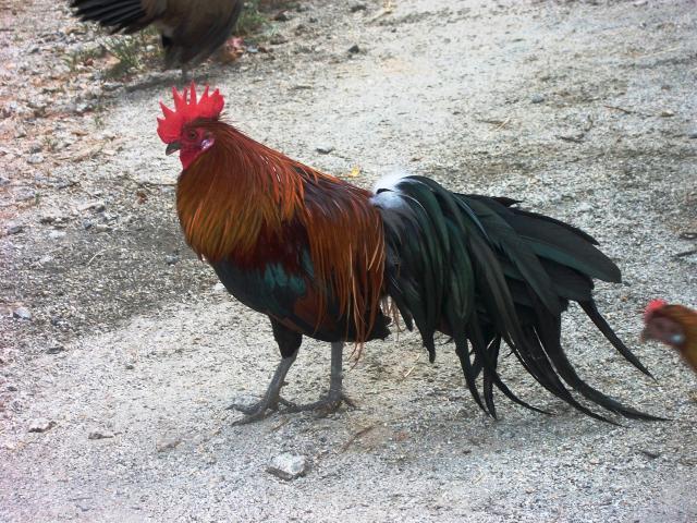 83676_010.jpg
