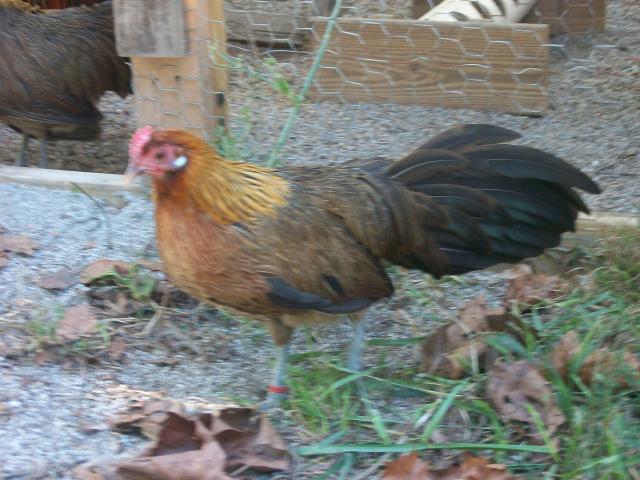 83676_015.jpg