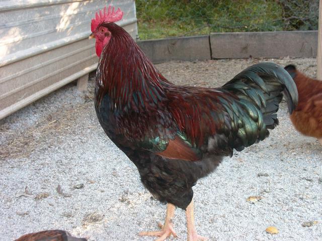 83676_030.jpg