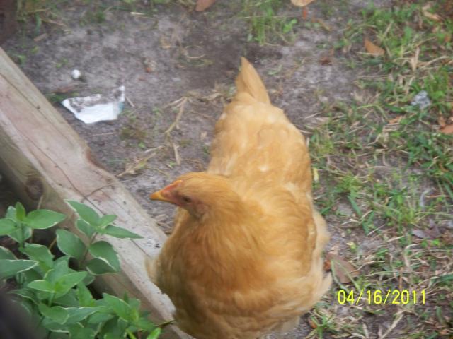 83683_890.jpg