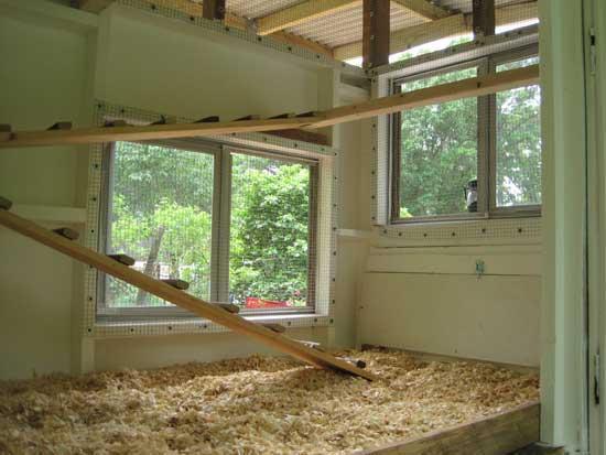 83723_img_1043.jpg