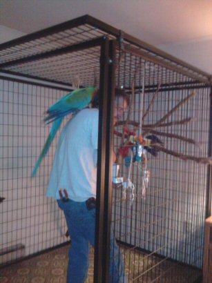 83755_ozzynewcage_028-resized.jpg