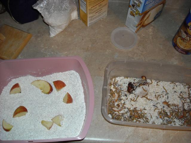 83761_016_2.jpg
