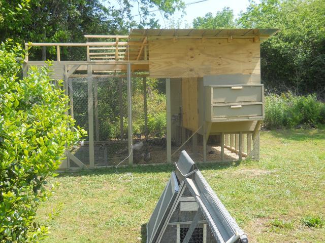 83884_house_n_coop_002.jpg