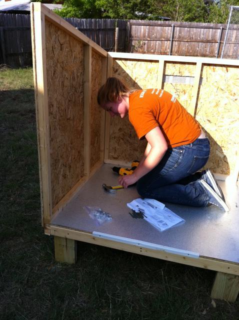 83928_putting_up_walls_day_1.jpg