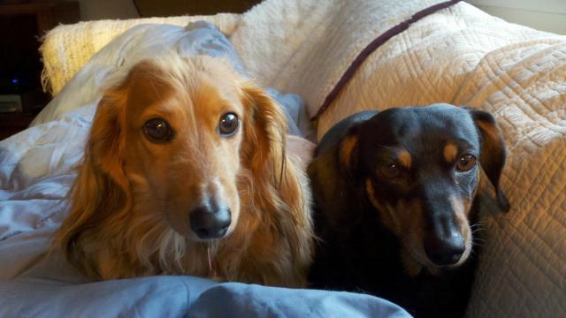 83951_2011-03-24_19-07-47_240.jpg