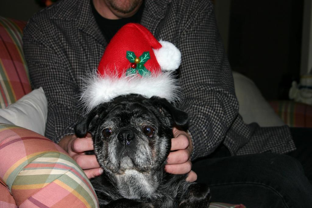 84109_pugsley_12_05.jpg