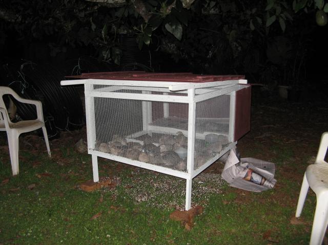 84209_cage.jpg