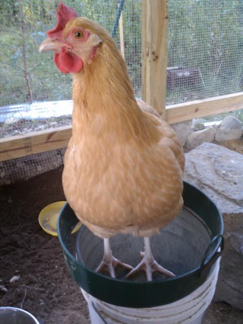 84324_imag0610.jpg