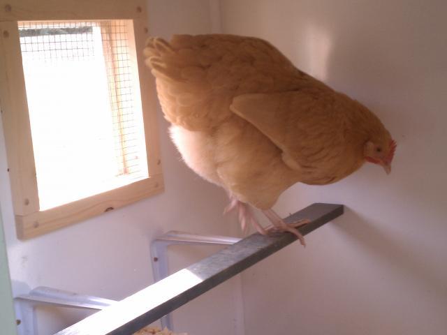 84324_imag0652.jpg