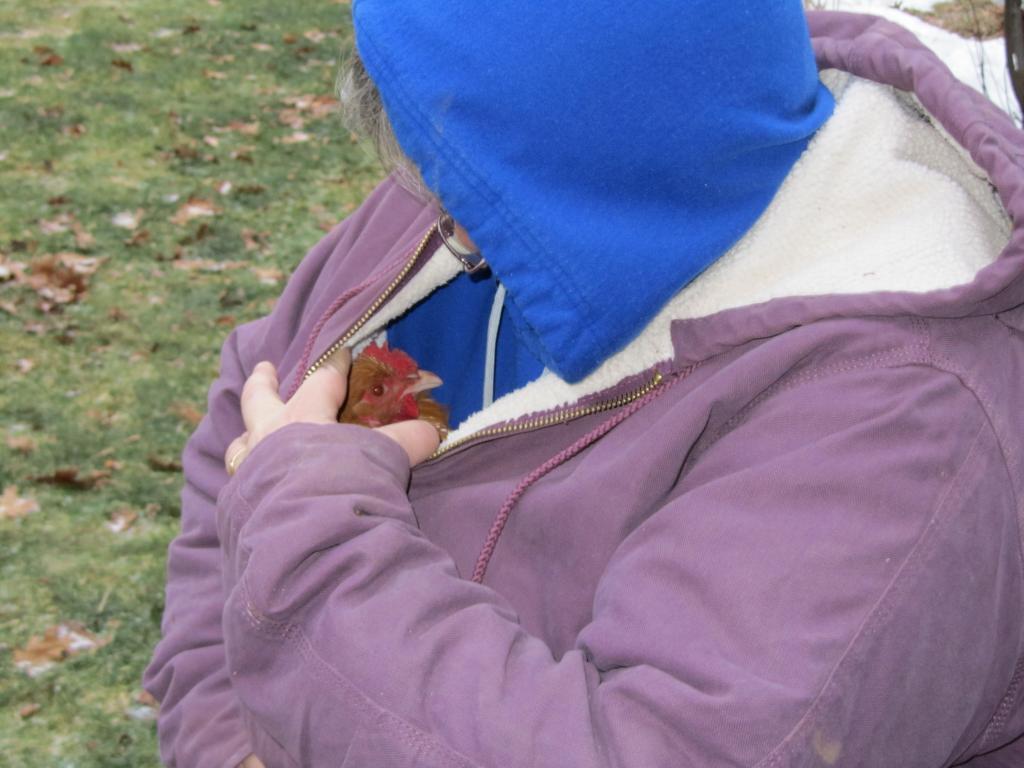 84324_toby_in_my_coat.jpg