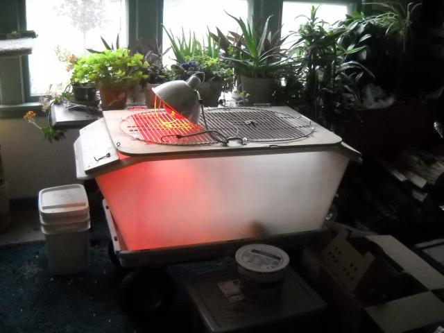 84356_dscn0945.jpg