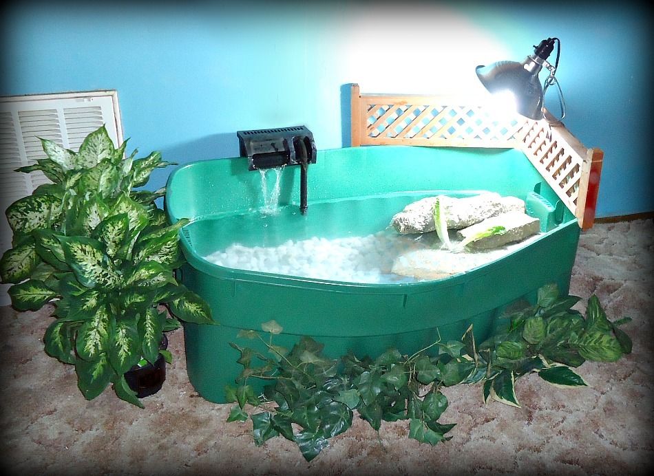 Indoor Turtle Pond 54 Gal- Initial Setup- a work in ...