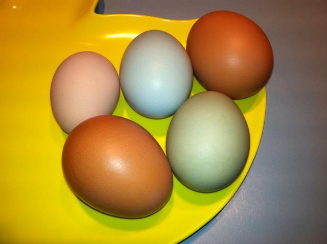 84645_eggs_rotate_2.jpg