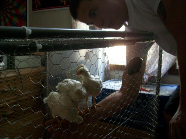 84680_100_0129.jpg