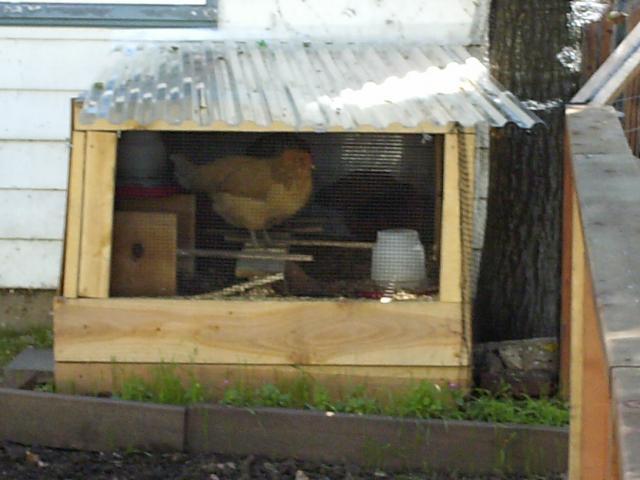 84712_hpim0843.jpg