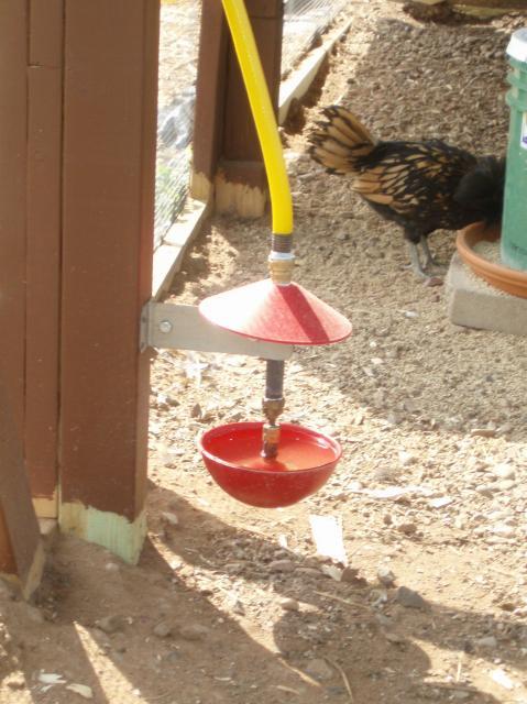 84719_automatic_chicken_waterer.jpg