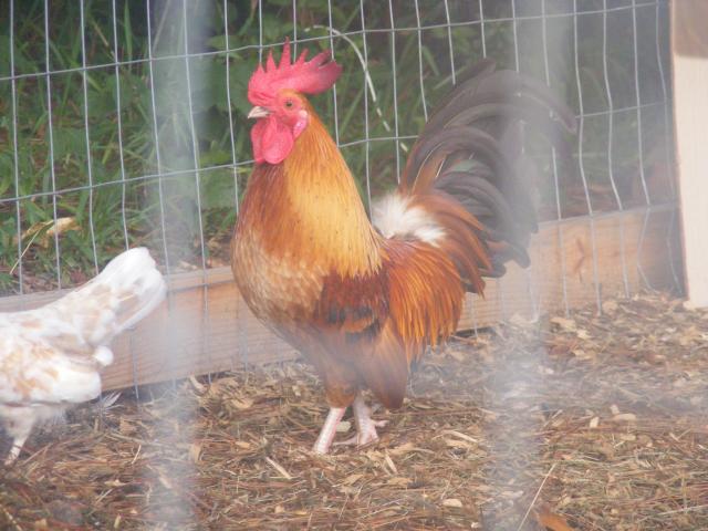 85027_013.jpg