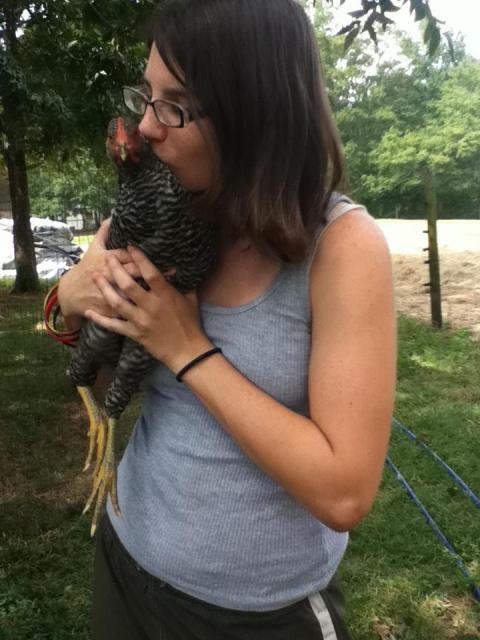 85121_lovechicken.jpg