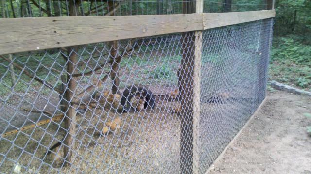 85184_2011-05-23_18-44-06_971.jpg
