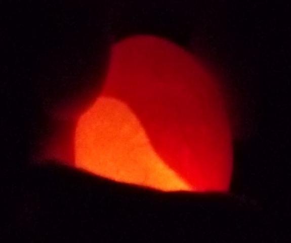 85245_100_0450.jpg