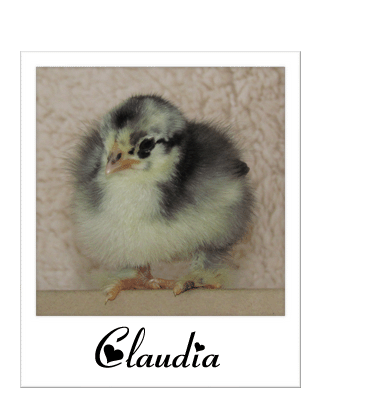 85262_claudia.gif
