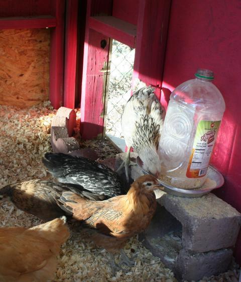 85396_012_copy.jpg