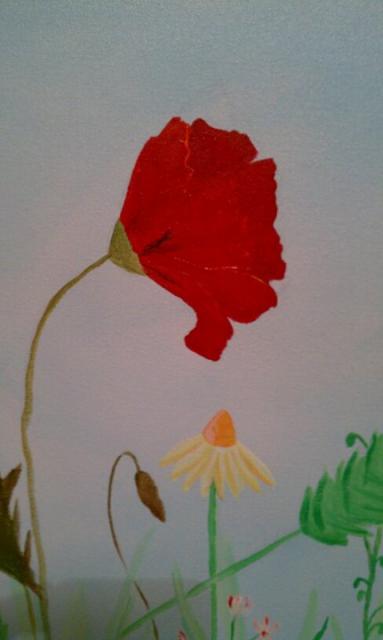 85560_poppy_picture_2.jpg