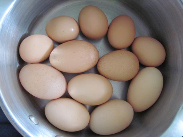 85638_008.jpg