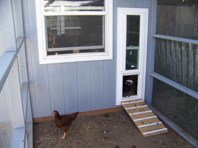 85665_exit_window2.jpg