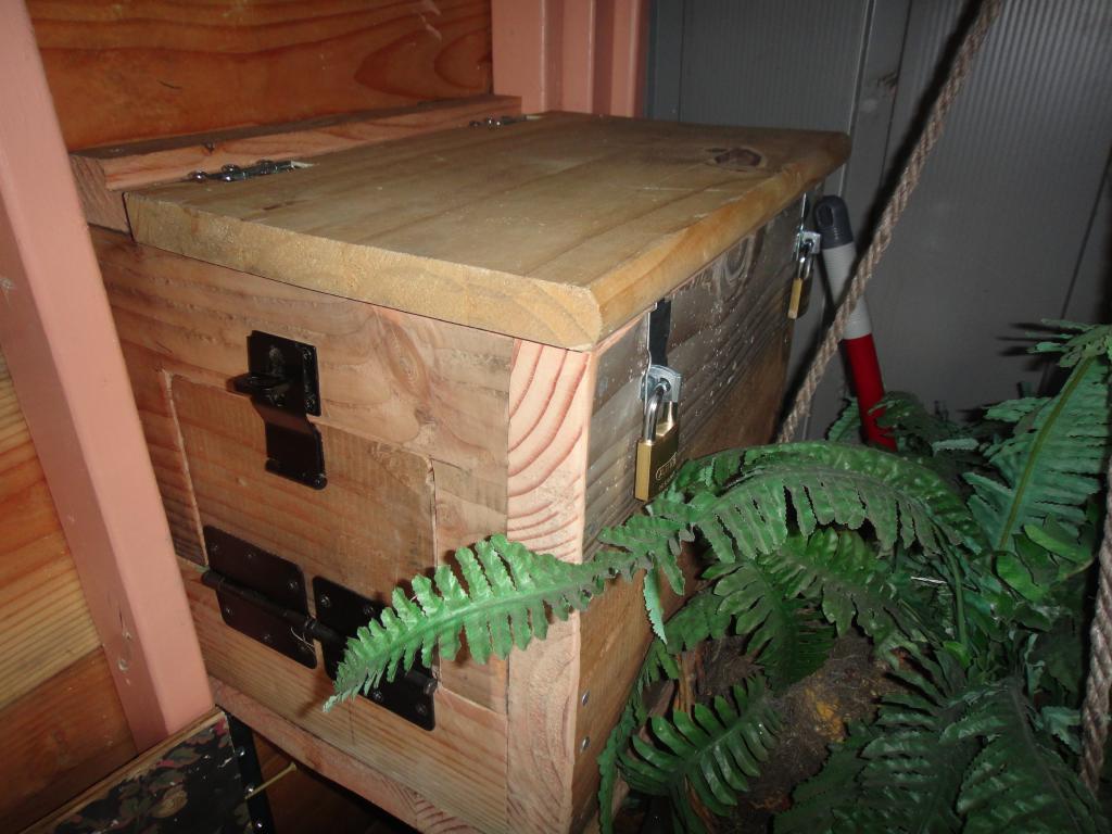 85907_1113nestbox.jpg