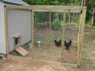 85907_coop_attached_shed.jpg