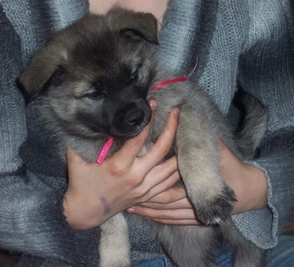 85947_01-12-08_01_hilde_1_small_format.jpg