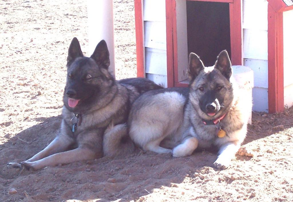 85947_tyra_and_hilde_3.jpg