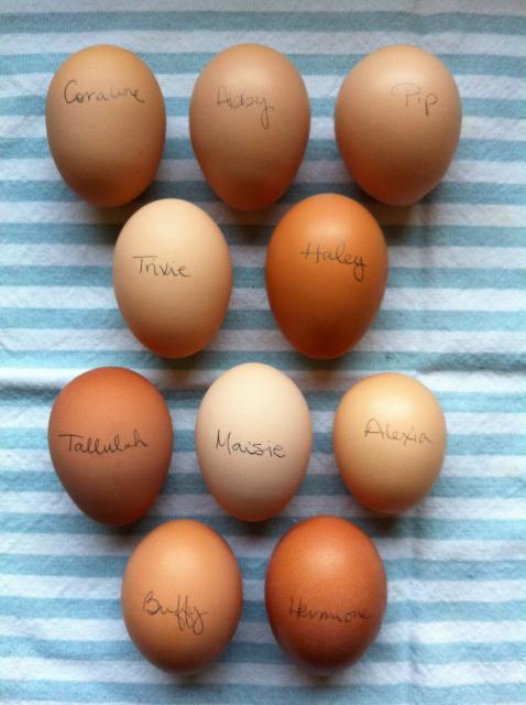 86005_month_07_ten_egg_day.jpg