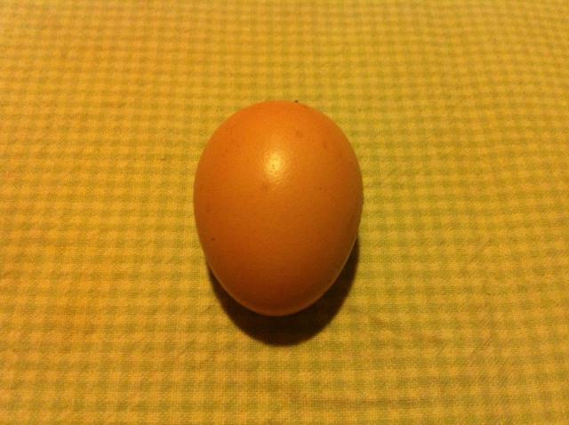 86005_week_twenty_first_egg1.jpg