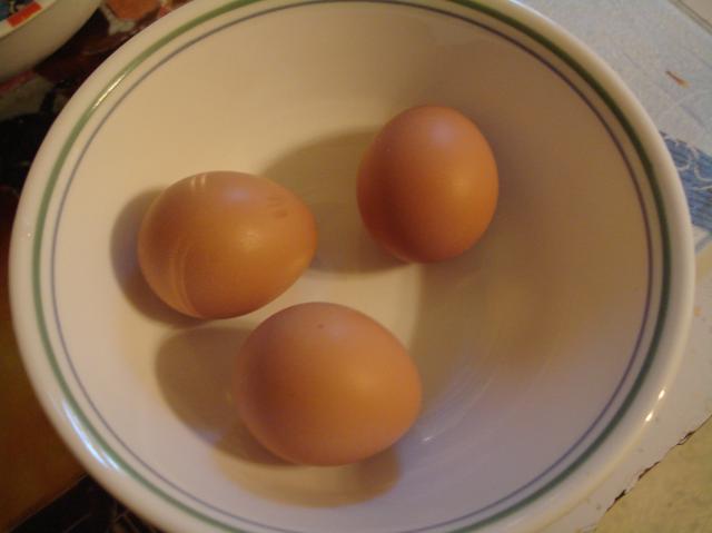 86141_eggs_003.jpg