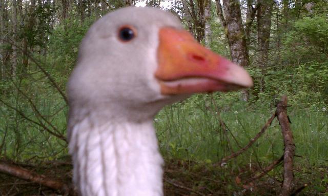 86159_blue_eyes.jpg